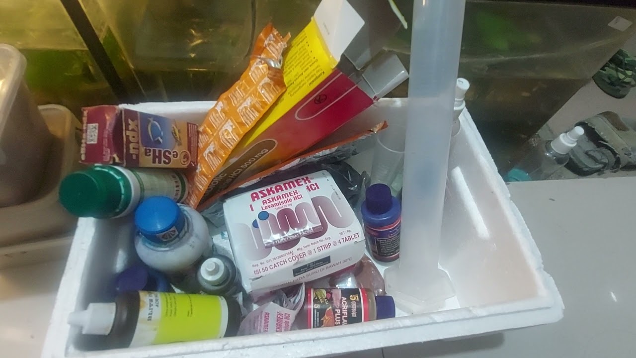 KOLEKSI OBAT UNTUK IKAN GUPPY😄😁