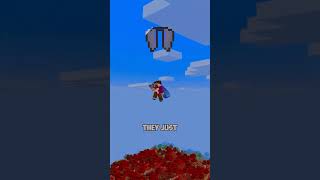 ELytRa TRICK !! #minecraft #mcpe #games