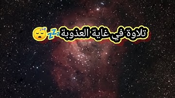 القران الكريم صوت جميل تشعر به داخل القلب❤️من عذوبة الصوت💤😴