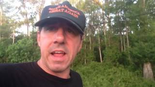Ants Devouring Snake Entertain Pun Man Taking Walk