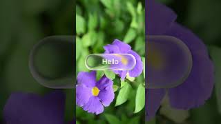 Liquid Glass Button Animation | Smooth UI Motion Design