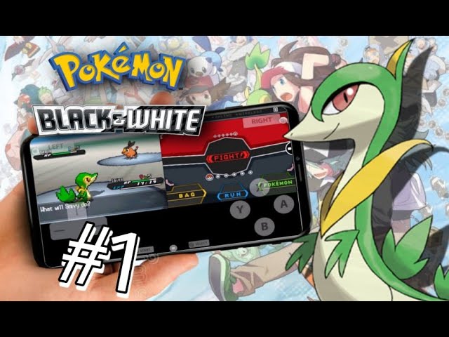 Finalmente Pokémon Black/White Português PT-BR Traduzido! 