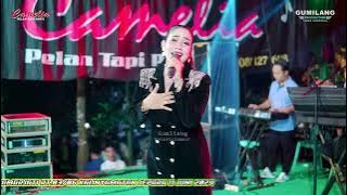 CAMELIA MUSIC - ILALANG - SELI PRAWOTO - WEDDING KENTUNG & RANI - DAMARJATI KALINYAMATAN JEPARA