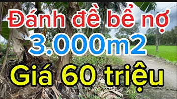 Đánh đề bể nợ bán gấp 3.000m2 đất ruộng mặt tiền đường dal giá 60 triệu/1000m2 tỉnh sóc Trăng