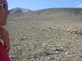 Mongolia Bayan Nur sum pasenda Kamesh Janemkhan