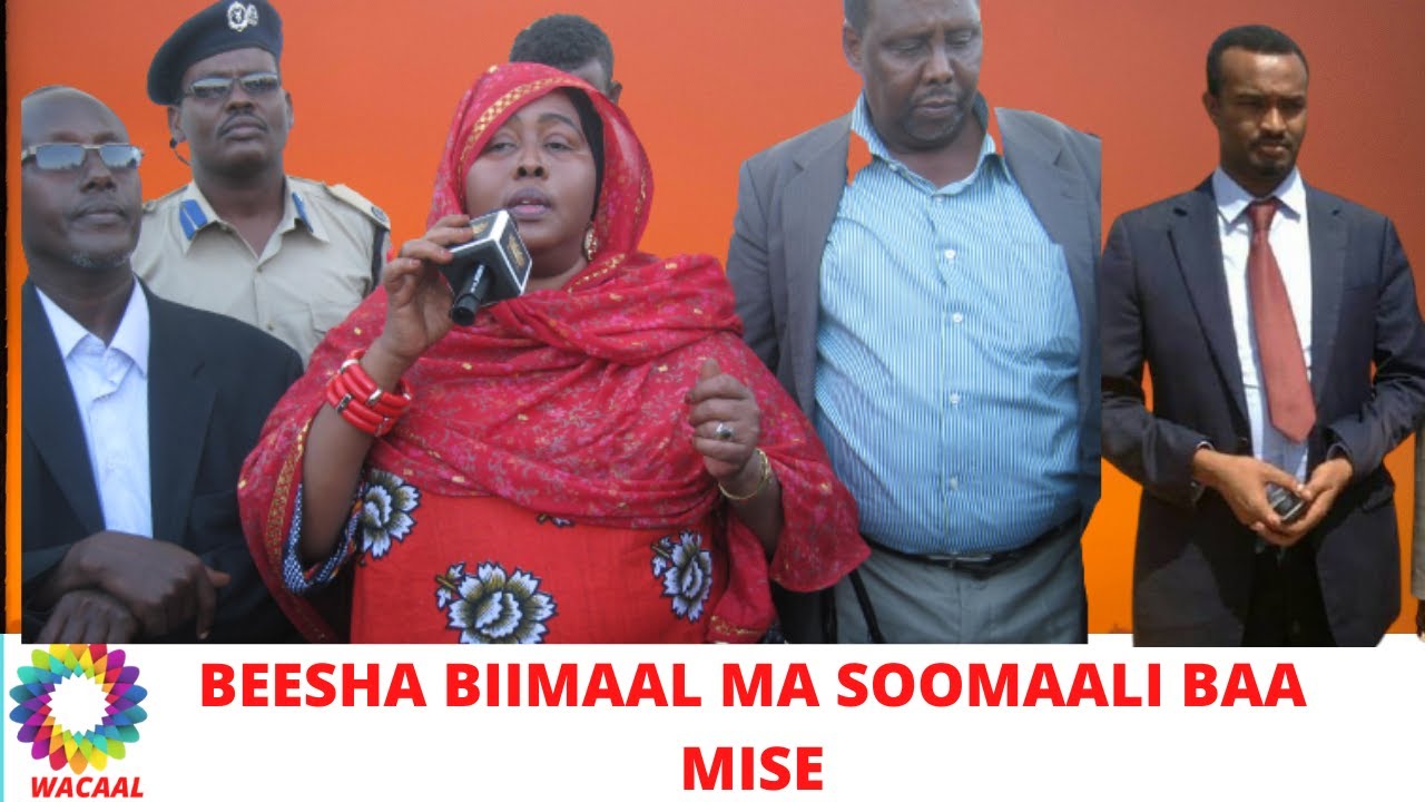 BIIMAAL MA SOOMAALI BAA, DHULSE MA KU LEEYIHIIN DALKA - YouTube