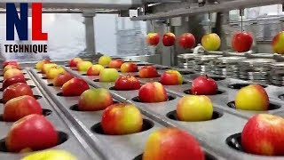 Modern Food Processing Technology with Cool Automatic Machines That Are At Another Level Part 10