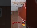 #controldeplagas #fumigacion #servicios #viralvideo #domicilio #cucarachas #plagas  #shorts #reels