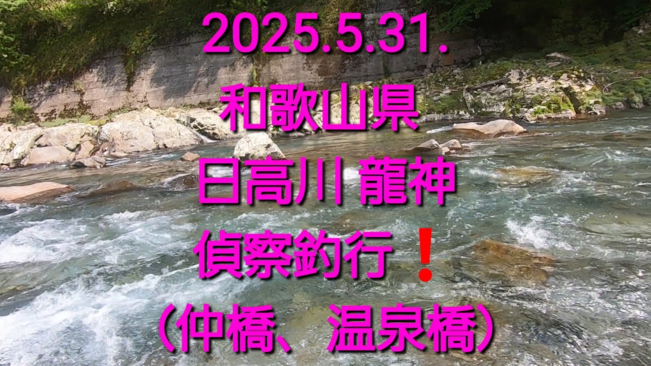 龍神の鮎釣り（2025.6.1.）＠和歌山県 日高川　仲橋、温泉橋