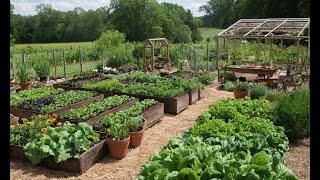 How to Create a Farm-to-Table Garden: Grow What You Eat!