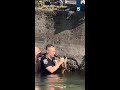 Cerbiatto nel naviglio a Corsico: gli agenti si tuffano in acqua per salvarlo