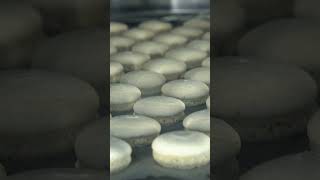Perfect Macarons in the #iCombiPro — Tiny, Colorful Happiness in Every Bite | RATIONAL