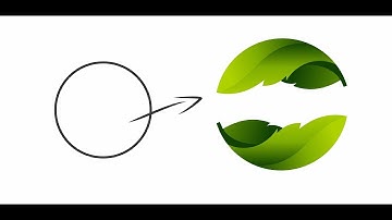 Mind Blowing Tips & Tricks For Experts & Beginners - Learn Coreldraw with Ahsan Sabri