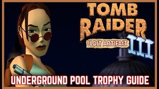 Tomb Raider III (The Lost Artifact) - Underground Pool Trophy