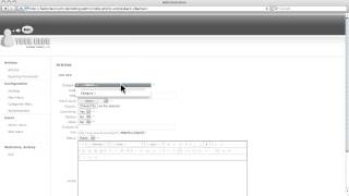 How to.. create category and add article to FLASH BLOG TEMPLATE