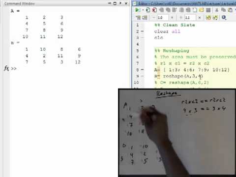 Arrays: Rehaping