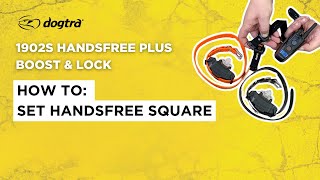 How To Set Handsfree Square Dogtra 1902S Handsfree Plus