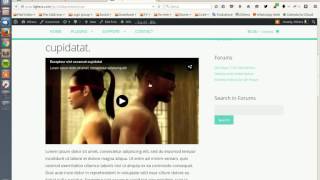 JWPlayer 7 for Wordpress -  Chapter Markers