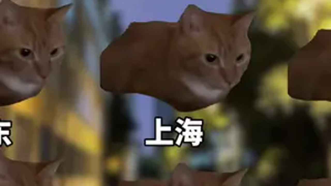 各省的快递速度 猫meme 快递 猫meme小剧场 搞笑 - YouTube