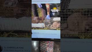 Cyclospora outbreaks, 28 cats seized from home, and NASA telescope launch!