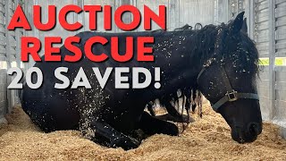 Auction Rescue  Follow Tawnee Through the Day