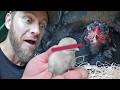 We Found So Many Surprises on our Farm Tour!