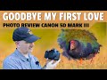 I Sold My Canon 5D Mark III - I Review My Favourite Shots - Which Camera Did You First Love?