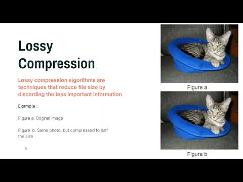 Image Compression using FFT