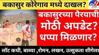 बकसर च 100% पर फकस?Live Bailgada Sharyat Todayp3 Livestc Livebakasur Updatemathur Update