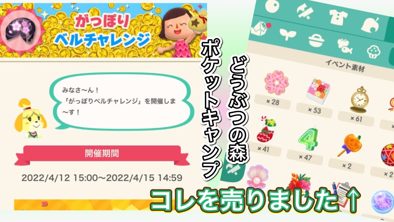 どうぶつの森ポケットキャンプ がっぽりベルチャレンジ どうぶつの森 ポケ森 Shorts Youtube