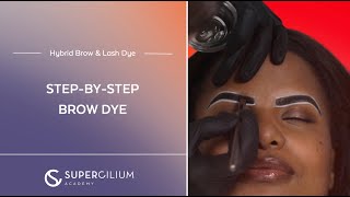 Step-by-step tutorial for flawless hybrid dye brows | Brow & Lash Dye Course