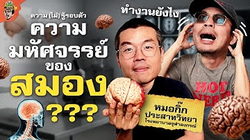 สมองทำงานยังไง ทำไมถึงน่ามหัศจรรย์? | ความ(ไม่)รู้รอบตัว