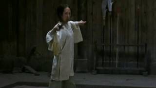 Ziyi Zhang vs  Michelle Yeoh♥♫♪ best fight scene ever♥♫♪