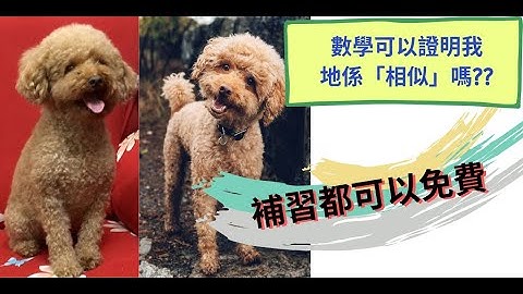 中一數學第九課：全等及相似【下】(F.1 Math. Ch9：Congruent and Similar PART 2)