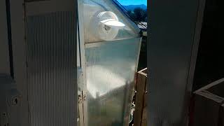 ❄️MASSIVE Greenhouse Upgrade: Easy, Cheap, and effective Cooling❄️