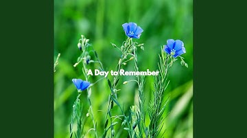 Stylish Ambience for Thoughtful Vibes