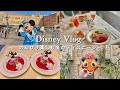 ［disney vlog］のんびり楽しむ冬のディズニーシー🌋｜息子の誕生日ディズニー