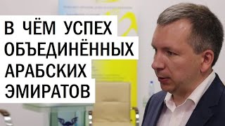 Как развивались Объединенные Арабские Эмираты. Александр Ланецкий