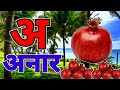अआइईउऊ, कखगघ, अ से अनार आ से आम, क से कबूतर A For Apple हिंदी वर्णमाला, ABCD, a se anar aa se aam