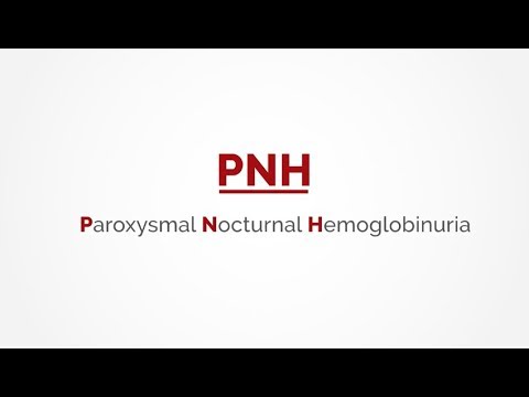 Video: Analisis Mutasi TET2 Dalam Hemoglobinuria Pada Waktu Malam Paroxysmal (PNH)