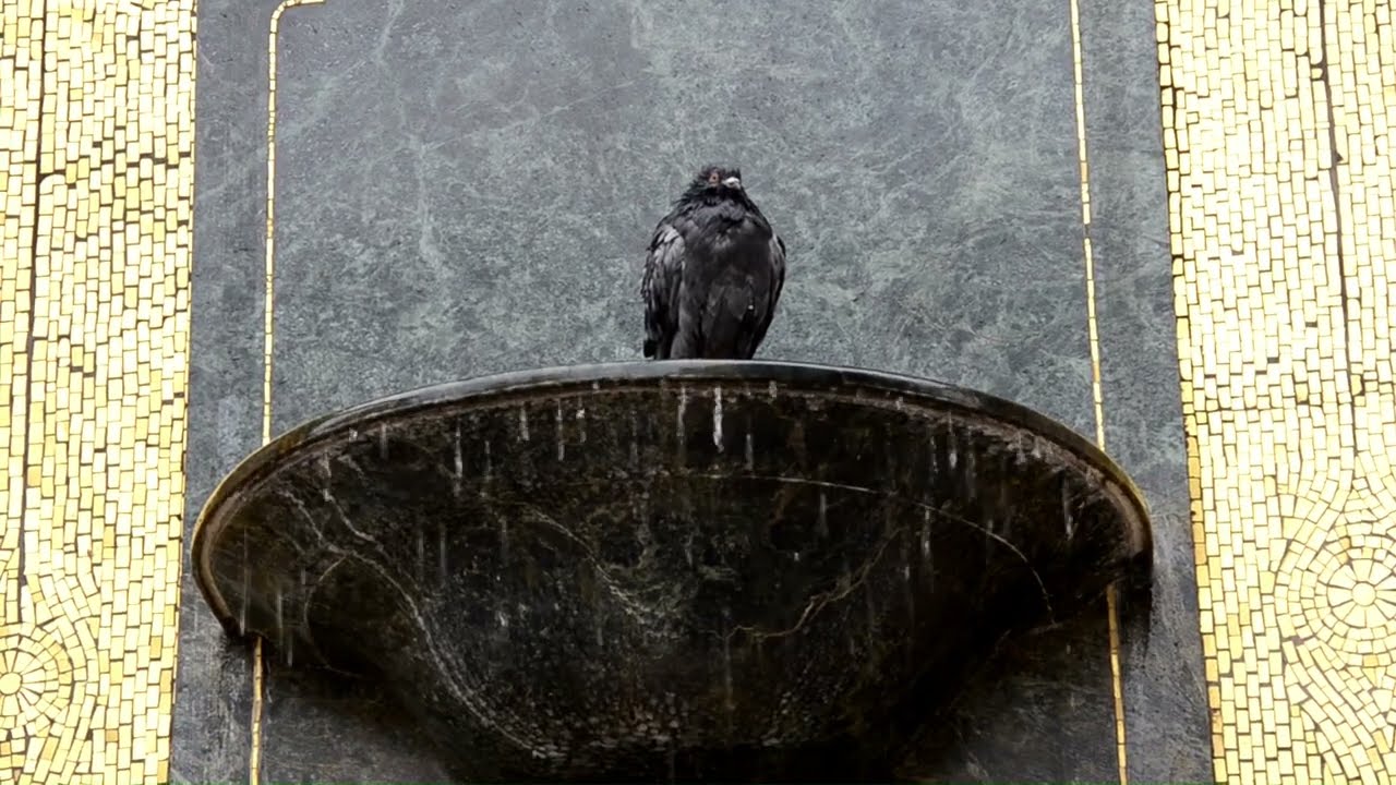 Dunja Knebl & Roko Margeta - SAMEC PREZ PARA (2)