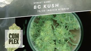 Motor City High: BC Kush Marijuana Strain | Ep 6 On Complex screenshot 5