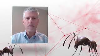ABB Adaptive Execution™: Collaboration pod - Ant Net Worth