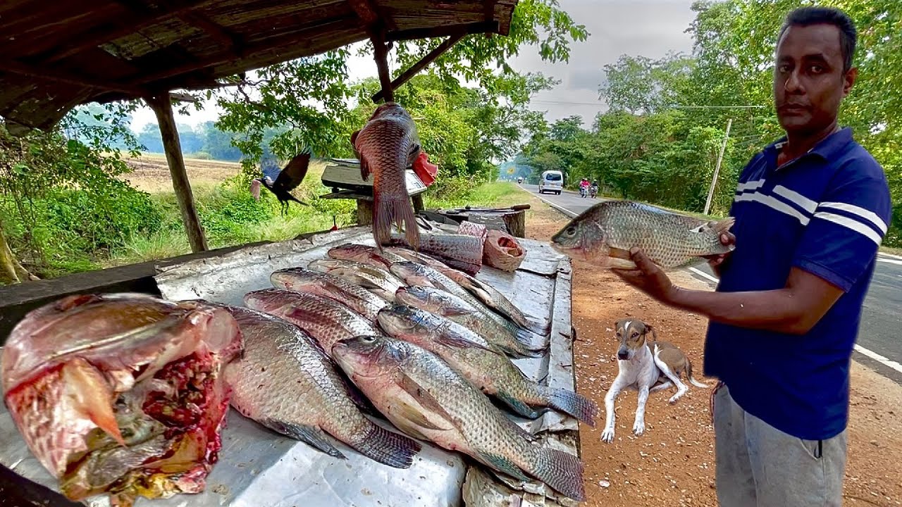 Hidden Discovery! How Sri Lankan Fisherman Adapt to a Changing World
