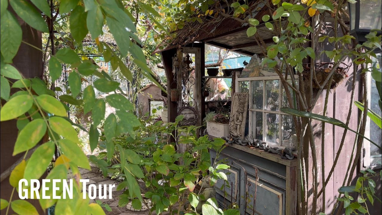 【個人邸】30年のこだわりが詰まった小屋から始まる物語のあるお庭は小道に注ぐ木漏れ日が美しい清々しい景色！ |井上邸 | 園芸/ガーデニング店巡り | 大阪/和泉市