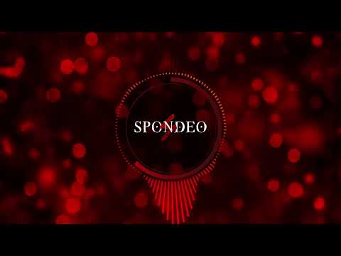 Spondeo - You'll Never Know (Official Audio)