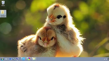 WordPress 第二十一集：如何发布文章