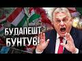 😱 РОСІЯНИ, ЗАБИРАЙТЕСЯ ДОДОМУ! Масовий МІТИНГ проти ОРБАНА набирає ОБЕРТИ! @donetskiecom