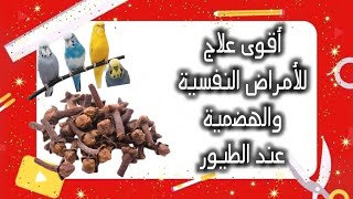 تعرف للفوائد الكثيرة للقرنفل على الطيور وطرق تقديمه بالمختصر المفيد