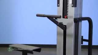 Cybex Modular Assisted Chin Dip